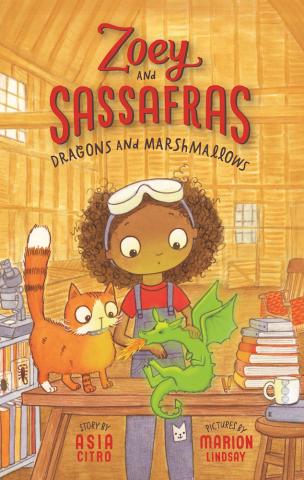 The cover of Dragons and Marshmallow. There is a green dragon sneezing fire and Zoey and her orange cat, Sassafras, look startled.