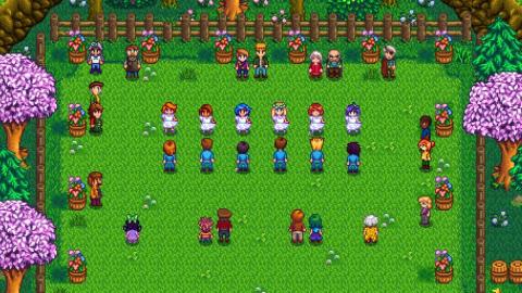 Screenshot of the Flower Dance Festival in the game Stardew Valley.