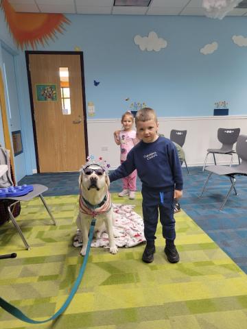 Teddy the yellow Labrador Retriever is dressed up for the 4th of July in sunglasses and a firework headband. There is a child standing next to him.