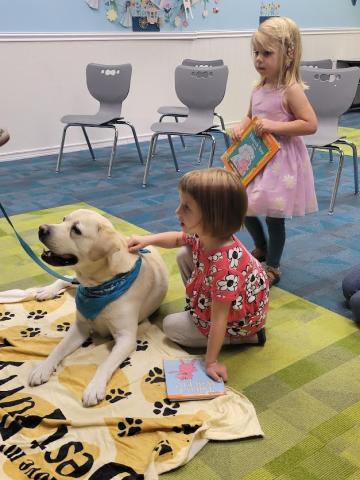 Teddy the yellow Labrador Retriever is allowing a little girl pet him with the girl's sister standing behind her.